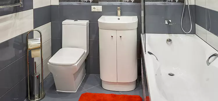 Hansgrohe Shaving Mirror Ingersoll
